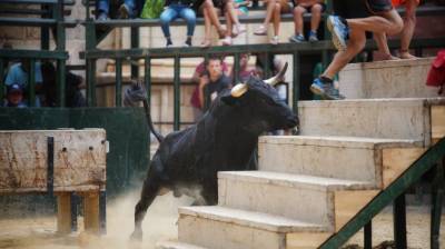 Fotografia /Galeria/2018/8/175869_104509/5_M1.jpg