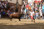 Arranquen les exhibicions taurines de la Misericòrdia amb ple de públic