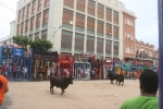 La Vilavella inicia les exhibicions taurines