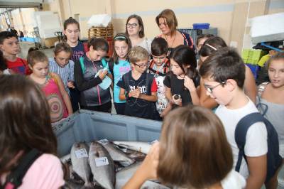 Consum inaugura la tercera edici escolar de Peix del Grau amb rcord de participants 