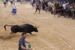 La Penya Tauribna exhibeix un gran exemplar de D. Joao Ramalho