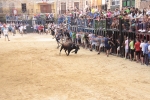 La Penya Tauribna exhibeix un gran exemplar de D. Joao Ramalho