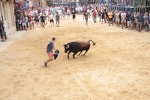 La Penya Tauribna exhibeix un gran exemplar de D. Joao Ramalho