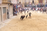 La Penya Tauribna exhibeix un gran exemplar de D. Joao Ramalho