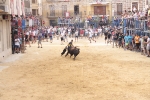 La Penya Tauribna exhibeix un gran exemplar de D. Joao Ramalho