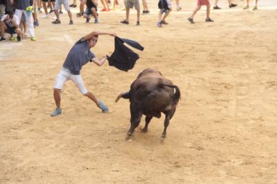 Fotografia /Galeria/2018/9/176923_105427/3_M1.jpg