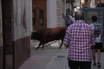 La penya Guateles patrocina el bou del dimecres