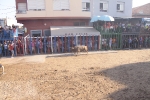 Xilxes encara ja la recta final de festes