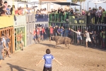 Xilxes encara ja la recta final de festes