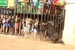 Almenara s'ompli fins a la bandera per a les primeres exhibicions taurines