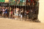 Almenara s'ompli fins a la bandera per a les primeres exhibicions taurines