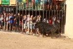 Almenara s'ompli fins a la bandera per a les primeres exhibicions taurines