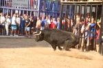 Almenara s'ompli fins a la bandera per a les primeres exhibicions taurines