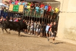 Almenara s'ompli fins a la bandera per a les primeres exhibicions taurines