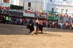 Almenara s'ompli fins a la bandera per a les primeres exhibicions taurines