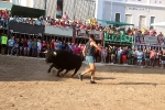 Almenara s'ompli fins a la bandera per a les primeres exhibicions taurines