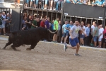 Almenara s'ompli fins a la bandera per a les primeres exhibicions taurines