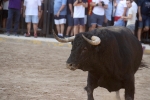 Almenara s'ompli fins a la bandera per a les primeres exhibicions taurines