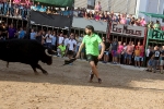 Almenara s'ompli fins a la bandera per a les primeres exhibicions taurines