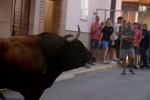 Xilxes tanca el capítol taurí de les festes