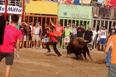 Xilxes tanca el captol taur de les festes