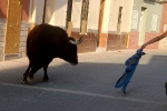 Xilxes tanca el capítol taurí de les festes