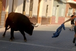 Xilxes tanca el capítol taurí de les festes