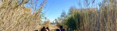 Torreblanca augmenta als 3.000 alumnes el nombre de visites escolars al Prat