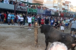 Els bous de les penyes protagonistes en les festes d'Almenara