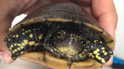 Fotografia /Galeria/2019/1/180628_108468/3_M1.jpg