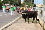 L'Associació de Veïns de Santa Bàrbara demana al ple suport institucional per al 'bou en corda'