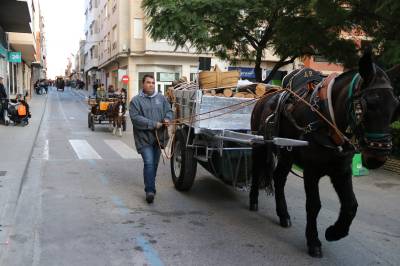 Fotografia /Galeria/2019/1/181111_108899/5_M1.jpg