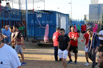 Fotografia /Galeria/2019/10/189334_115896/5_M1.jpg