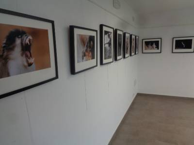 Fotografia /Galeria/2019/10/189344_115904/3_M1.jpg