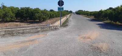 Fotografia /Galeria/2019/10/189401_115949/2_M1.jpg