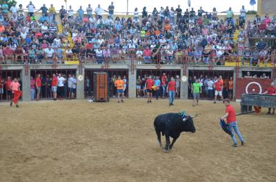 Fotografia /Galeria/2019/10/189549_116074/2_M1.jpg