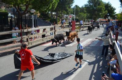 Fotografia /Galeria/2019/10/189570_116091/2_M1.jpg