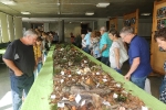 La Fira del Mussol clausura un exitoso fin de semana de ferias y encuentros en Alcora