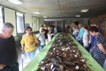 La Fira del Mussol clausura un exitoso fin de semana de ferias y encuentros en Alcora