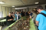 La Fira del Mussol clausura un exitoso fin de semana de ferias y encuentros en Alcora