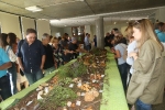 La Fira del Mussol clausura un exitoso fin de semana de ferias y encuentros en Alcora