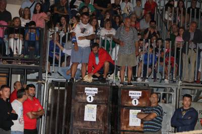 Fotografia /Galeria/2019/10/189610_116123/2_M1.jpg