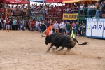 Les Alqueries possa el punt i final a les exhibicions taurines de les festes patronals