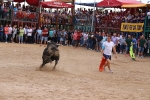 Les Alqueries possa el punt i final a les exhibicions taurines de les festes patronals