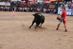 Les Alqueries possa el punt i final a les exhibicions taurines de les festes patronals