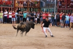 Les Alqueries possa el punt i final a les exhibicions taurines de les festes patronals