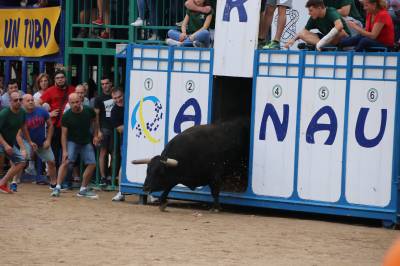 Fotografia /Galeria/2019/10/189611_116124/4_M1.jpg