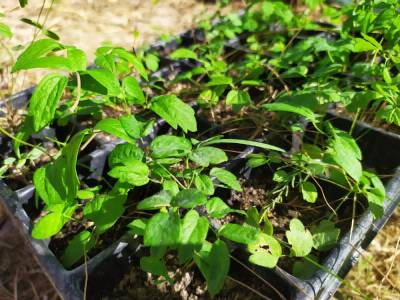 Fotografia /Galeria/2019/10/189660_116170/5_M1.jpg