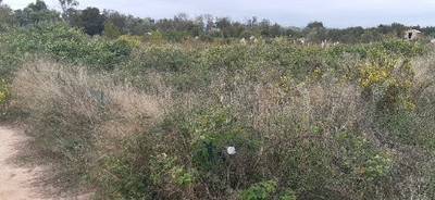 Fotografia /Galeria/2019/10/189702_116208/3_M1.jpg