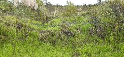 Fotografia /Galeria/2019/10/189702_116208/4_M1.jpg